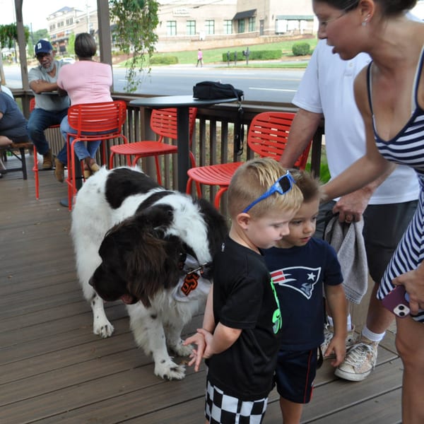 A large dog stands on a brewery patio next to two young boys and adults.